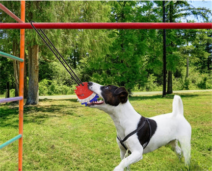 Dog Teething & Bite-Resistant Outdoor Rope Ball Toy