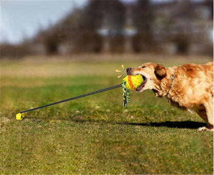 Dog Teething & Bite-Resistant Outdoor Rope Ball Toy