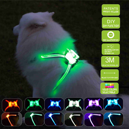 LED Dog Collar – USB Rechargeable & Glow-in-the-Dark Safety Collar