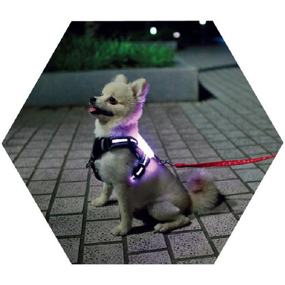 LED Dog Collar – USB Rechargeable & Glow-in-the-Dark Safety Collar