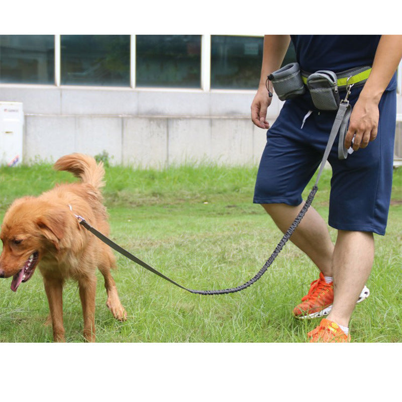 Adjustable Hands-Free Dog Leash – Waist Belt for Jogging & Walking