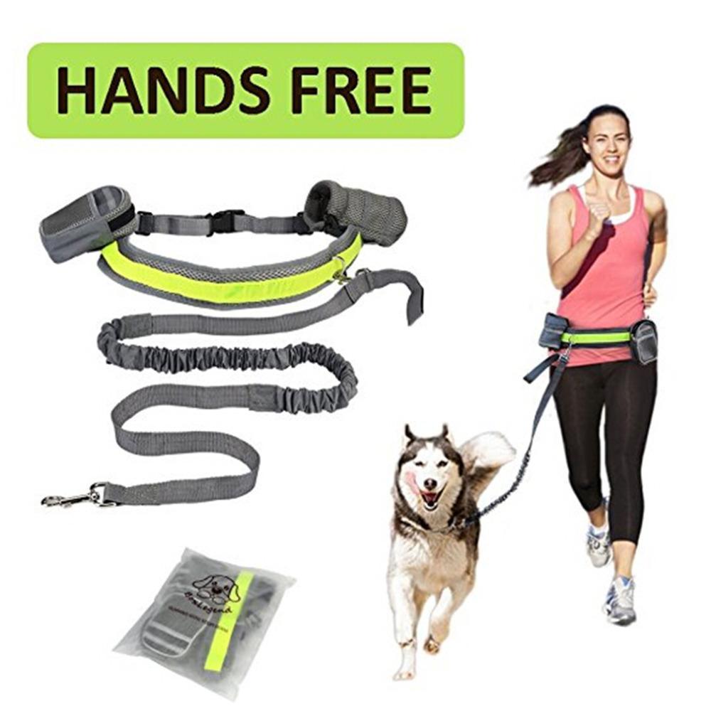 Adjustable Hands-Free Dog Leash – Waist Belt for Jogging & Walking