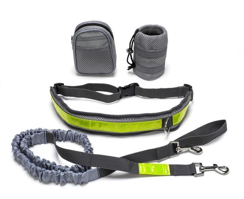 Adjustable Hands-Free Dog Leash – Waist Belt for Jogging & Walking