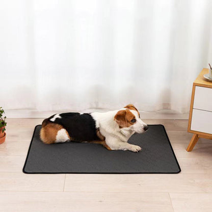 Waterproof & Reusable Pet Training Mat – Absorbent, Non-Slip & Washable