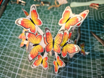 3D butterfly explosion custom card