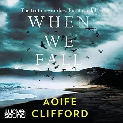 Book Summary: WHEN WE FALL by AIoffe Clifford - EbOakE Creations