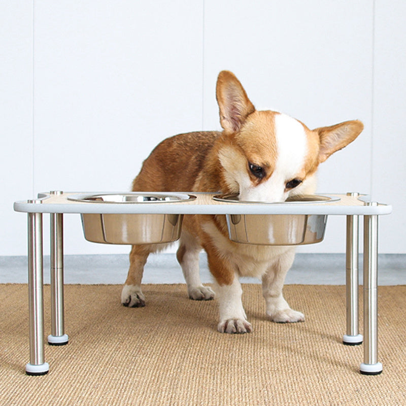 Adjustable Raised Dog Bowl Stand – Ergonomic & Stainless Steel